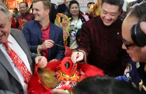 Lunar Year of the Rooster in China Town Toronto - Dotting the eyes of the Lion - photo Mosaic Edition Edward Akinwunmi