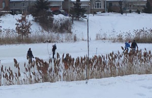 Hockey on frozen pond.mosaicedition.ca-ea