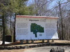 A place to visit – Canada – Algonquin Park - mosaicedition.ca-ea