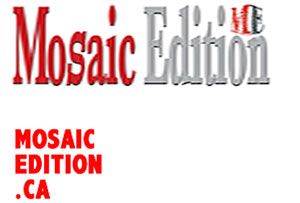 mosaic edition profile