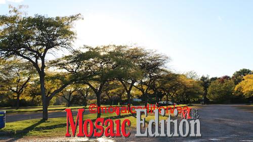 Fall season Charles Daley Park Lincoln – Photo Mosaic Edition Edward Akinwunmi