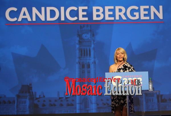 Candice Bergen former Interim Leader Conservative Party. MP Candice Bergen is not seeking re-election. She was the Leader of Opposition from February 2, 2022 to September 10, 2022. She represents Portage – Lisgar in Manitoba - Photo Mosaic Edition Edward Akinwunmi