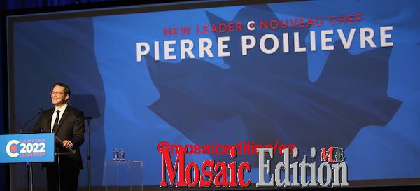 Pierre Poilievre – Leader Conservative Party - Mosaic Edition Edward Akinwunmi